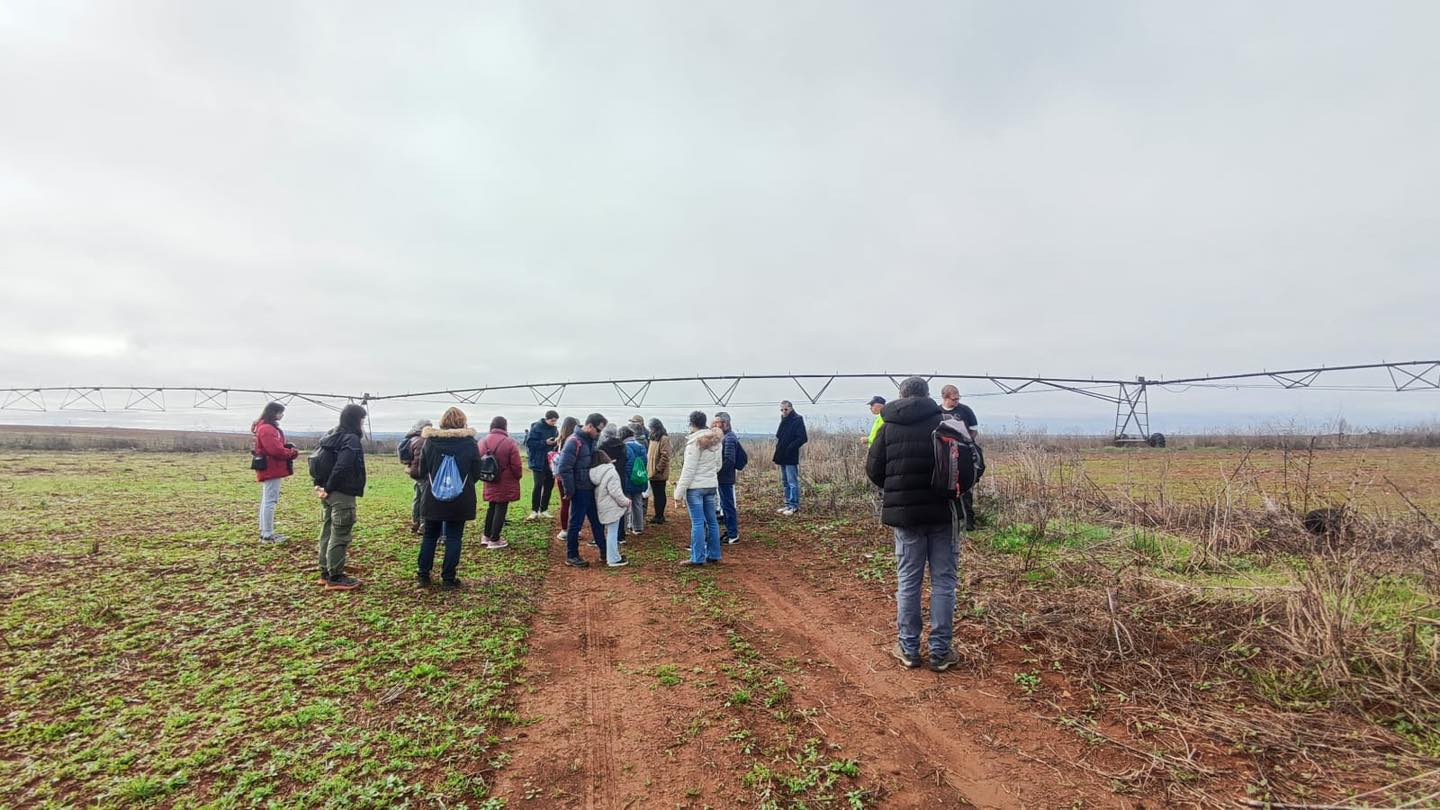 Exploradas ruas e arredores da Trindade que contam séculos de história